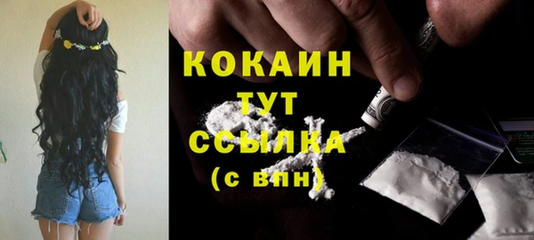 ПСИЛОЦИБИНОВЫЕ ГРИБЫ Пестово