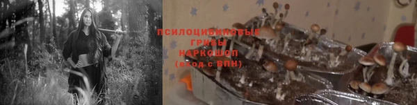 метадон Абинск