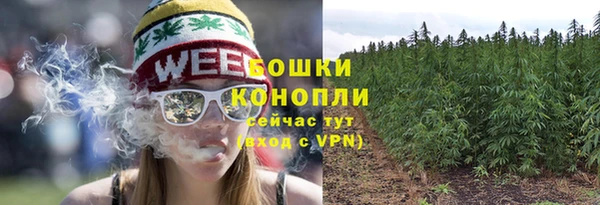 ПСИЛОЦИБИНОВЫЕ ГРИБЫ Пестово