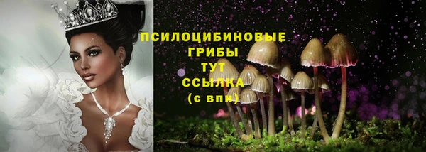 ПСИЛОЦИБИНОВЫЕ ГРИБЫ Пестово